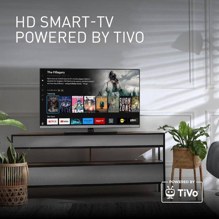 Panasonic TB-24S40AEZ, S40 Serie 24 Zoll HD LED Smart TV, 2024, Tivo, Google- Und Alexa-Sprachsteuerung, Gaming-Modus, Media Player, HDR, HDMI, WLAN, Für EIN Außergewöhnliches Visuelles Erlebnis
